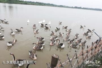 上海東灘濕地公園-水禽棲息地照片