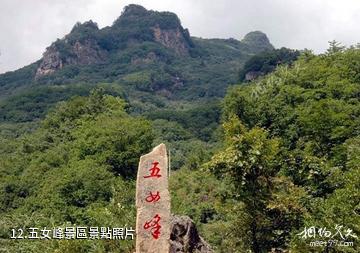 五女峰國家級森林公園-五女峰景區照片