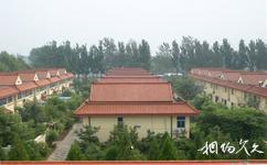 北京韩村河旅游景村旅游攻略之农家别墅楼