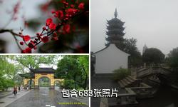 常州红梅公园驴友相册