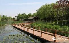 上海閔行體育公園旅遊攻略之濕地生態園