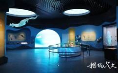 雲南澄江化石地自然博物館旅遊攻略之展廳