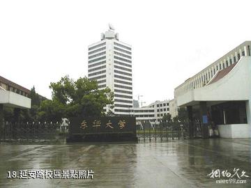 東華大學-延安路校區照片