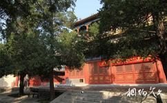 北京万寿寺旅游攻略之万寿阁