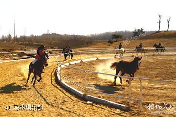 羊山古镇国际军事旅游度假区-马术俱乐部照片