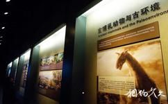 大庆市博物馆旅游攻略之古哺乳动物与古环境