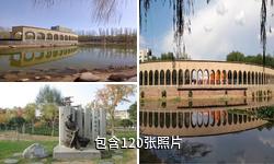 银川新月广场驴友相册