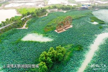 淄博天鹅湖国际慢城照片