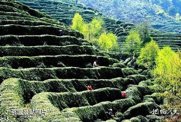 五山堰河鄉村旅遊區-茶壇照片