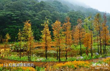 廣州從化石門國家森林公園-紅楓湖照片