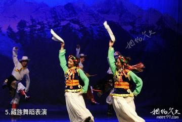 迪庆州民族服饰旅游展演中心-藏族舞蹈表演照片