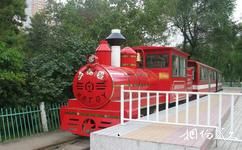 哈爾濱兒童公園旅遊攻略之小火車