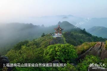 福建梅花山國家級自然保護區照片