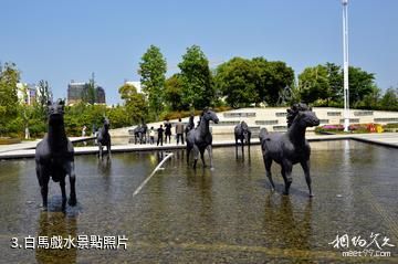 蘇州大白盪城市生態公園-白馬戲水照片