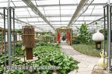 臨沂蘭陵國家農業公園照片