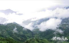 广西九万山国家级自然保护区旅游攻略