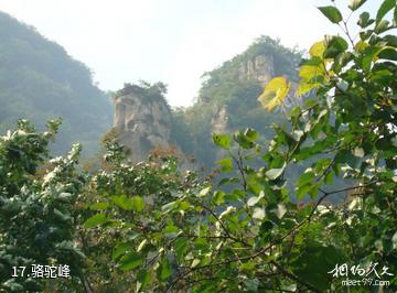 怀柔百泉山自然风景区-骆驼峰照片