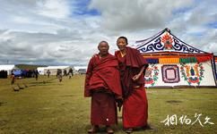 西藏羌塘草原旅游攻略之帐篷
