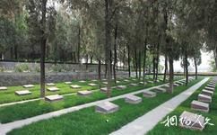 羊山古镇国际军事旅游攻略之烈士墓区