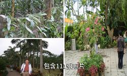 海南興隆熱帶植物園驢友相冊