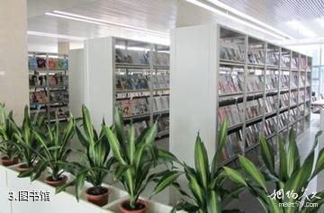 独山子文化中心-图书馆照片