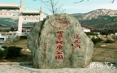 泰安新泰魯商·新甫山旅遊攻略之標誌碑