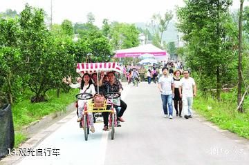 遂宁安居七彩明珠景区-观光自行车照片