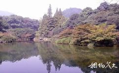 杭州西湖旅游攻略之九溪烟树