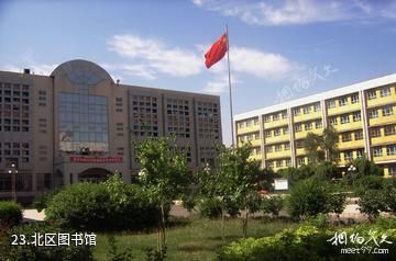 新疆大学-北区图书馆照片