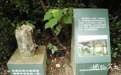 珠海中山公園旅遊攻略之文化遺址
