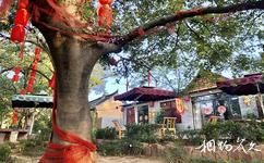郟縣姚庄旅遊攻略之園林娛樂產業園