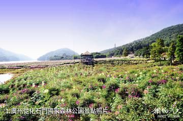 廣州從化石門國家森林公園照片