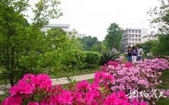广西大学校园概况之花园绿地