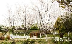 上海顧村公園旅遊攻略之植物觀賞園