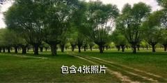 靖边金鸡沙生态旅游区驴友相册