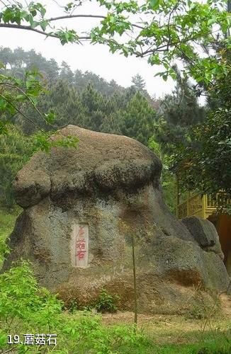 安庆大龙山景区-蘑菇石照片