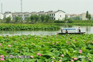 芜湖陶辛水韵景区照片