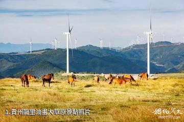 貴州龍里油畫大草原照片