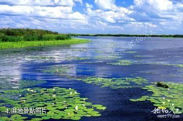 黑龍江三江國家級自然保護區-濕地照片