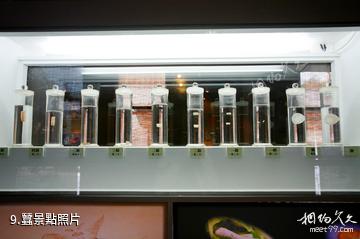 蘇州絲綢博物館-蠶照片