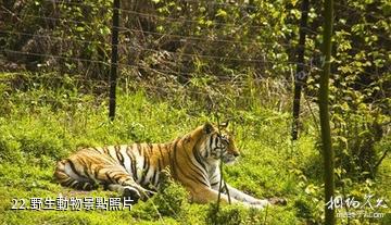 貴陽森林公園-野生動物照片