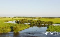 黑龙江东方红湿地国家级自然保护区旅游攻略之湿地