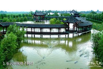 长兴中国扬子鳄村照片