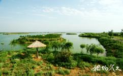 中衛騰格里沙漠濕地·金沙島旅遊攻略之騰格里湖