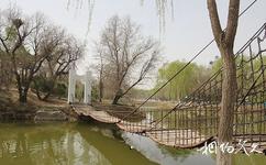 宁夏银川中山公园旅游攻略之铁索桥
