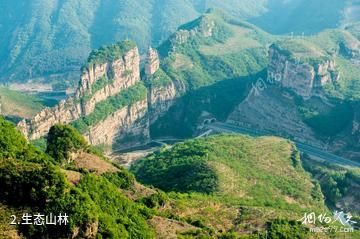 承德兴隆山-生态山林照片