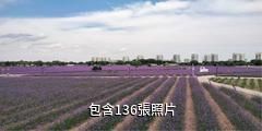金昌紫金花城驢友相冊