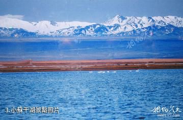 阿克塞蘇干湖候鳥自然保護區-小蘇干湖照片