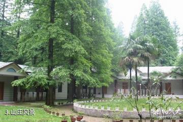 广安华蓥山水杉山庄-山庄风景照片