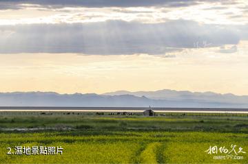 巴里坤高家湖景區-濕地照片